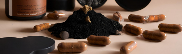 Birch Chaga Supplements: Nature's Wellness Elixir – A Comprehensive Guide