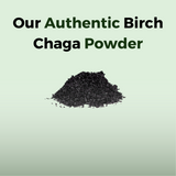 Birch Chaga Microbiome Wellness Powder