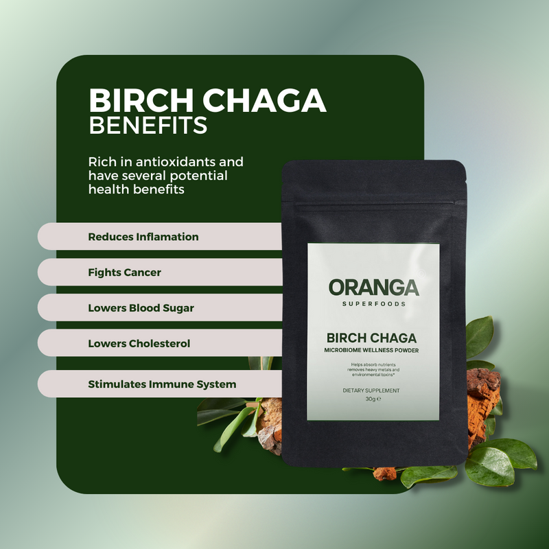 Birch Chaga Microbiome Wellness Powder